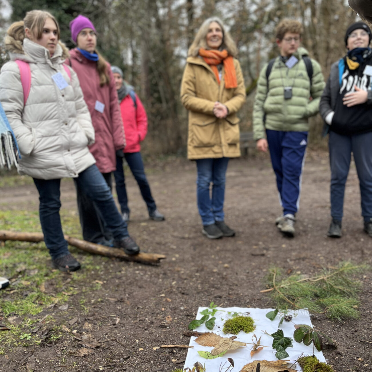 Workshop Wald © Eurodistrikt PAMINA