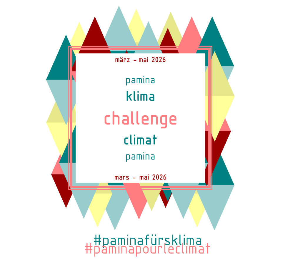 Ein weißes Quadrat mit der Inschrift PAMINA Klima Challenge hinterlegt von bunten Rauten.